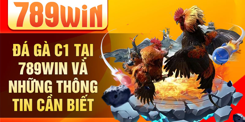 Đá gà C1 tại 789win và những thông tin cần biết
