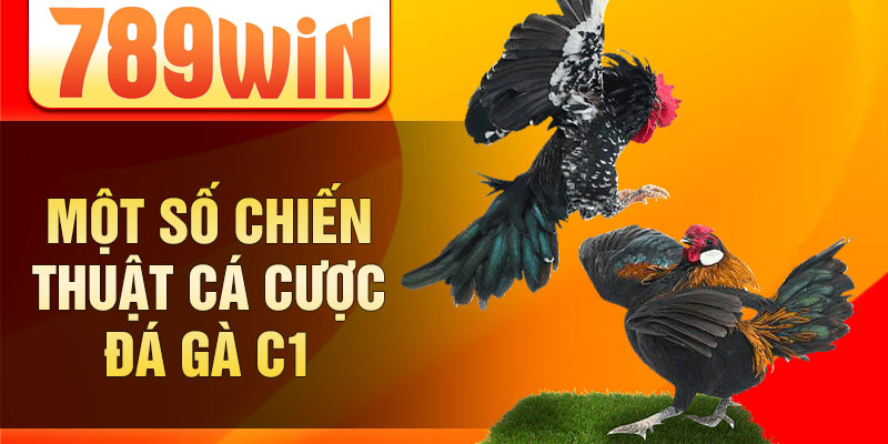 Một số chiến thuật cá cược đá gà C1